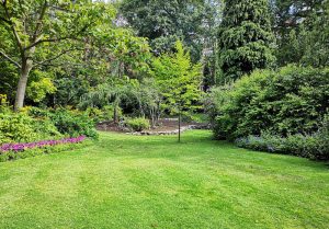 Optimiser l'expérience du jardin à Hodenc-en-Bray